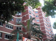 Blk 220 Kovan Green (Hougang), HDB 4 Rooms #245152